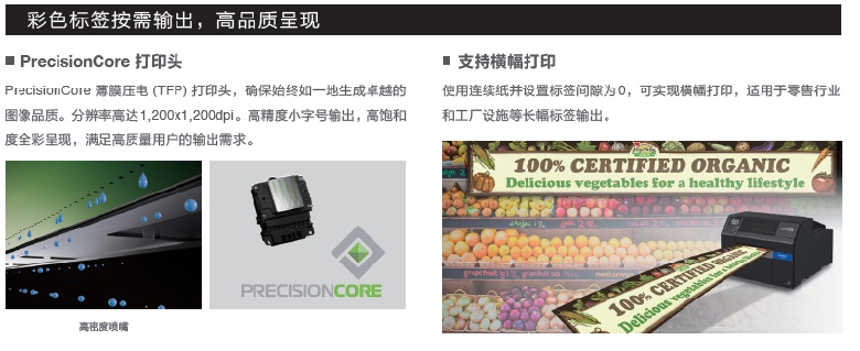 CW6000-6.jpg